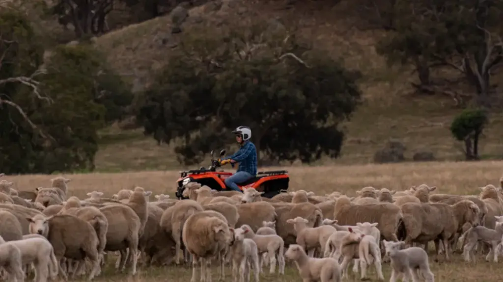 6763f046bfbb433c74a31947_CFORECE520L_03 (1).webp