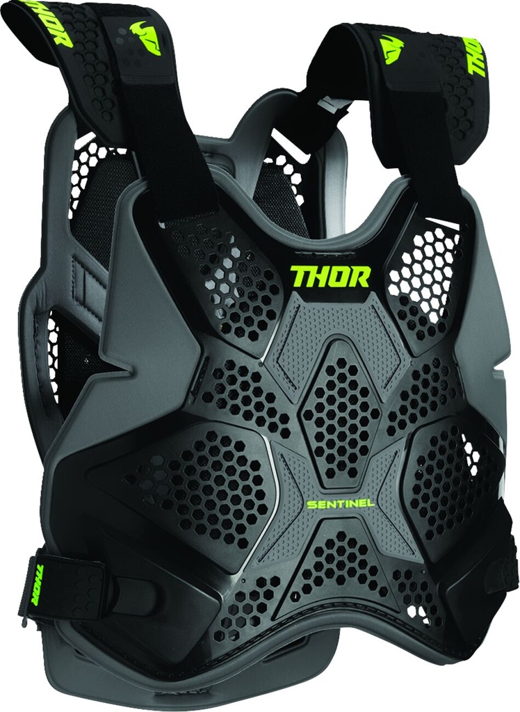 Protector Sentinel Pro