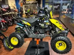 MINIQUAD RAPTOR 50 2T RUEDA 4