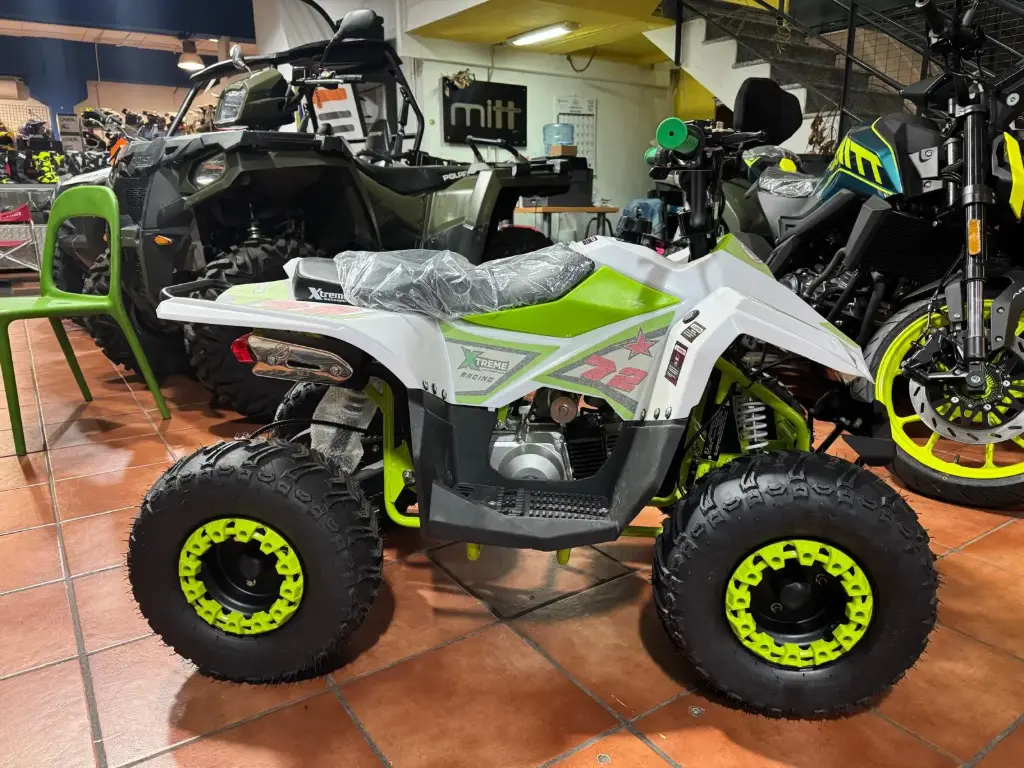 MINIQUAD 125cc PANTERA 4T MARCHA ATRAS 
