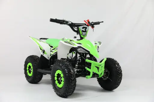 MINI QUAD ELECTRICO MR 1300W 